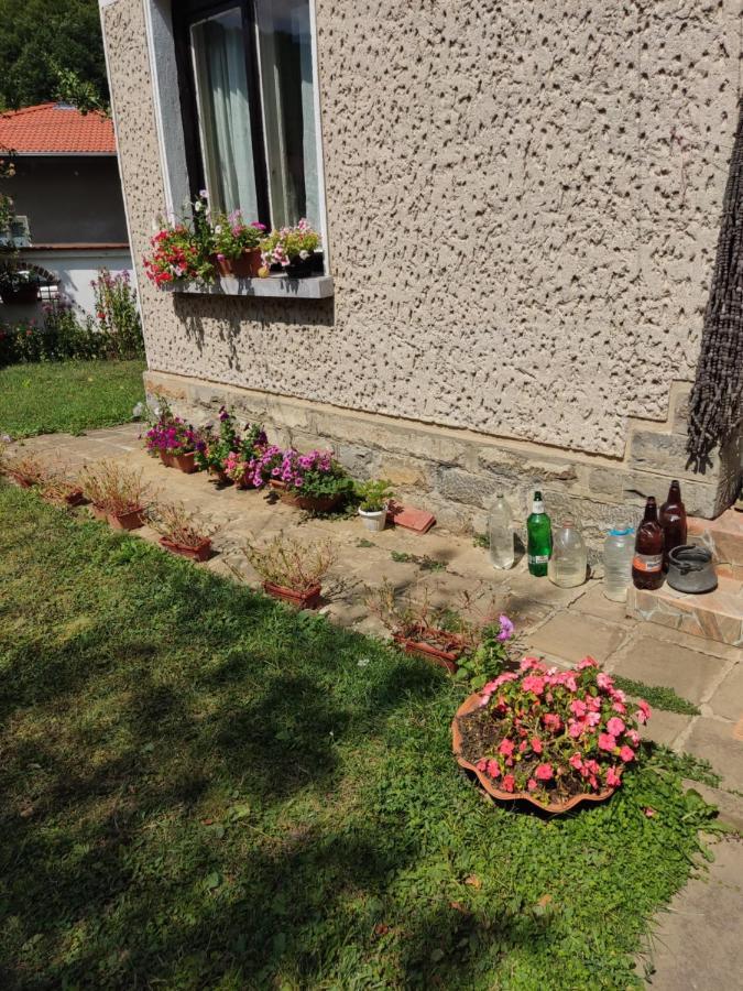 Къща За Гости Хайк Beli Osŭm Exterior foto